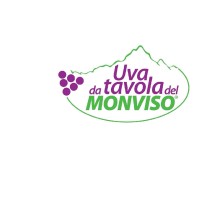 Monvisofruit logo, Monvisofruit contact details