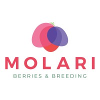 Molari Società Agricola logo, Molari Società Agricola contact details