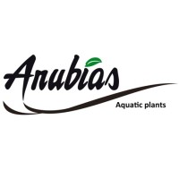 ANUBIAS Aquarium Plants logo, ANUBIAS Aquarium Plants contact details