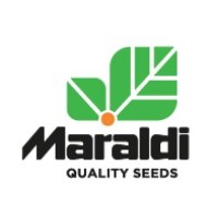 Maraldi Sementi Srl logo, Maraldi Sementi Srl contact details