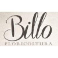 Floricoltura Billo logo, Floricoltura Billo contact details