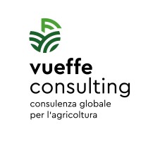 Vueffe Consulting logo, Vueffe Consulting contact details