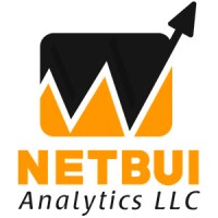 Netbui Analytics LLC logo, Netbui Analytics LLC contact details