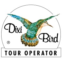 Dixi Bird T.O. logo, Dixi Bird T.O. contact details