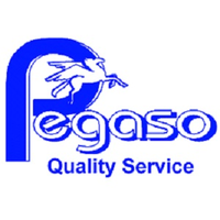 Pegaso S.r.l. Quality Service logo, Pegaso S.r.l. Quality Service contact details