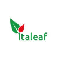 Italeaf S.p.A. logo, Italeaf S.p.A. contact details