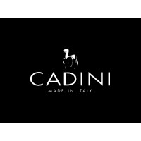 CADINI srl logo, CADINI srl contact details