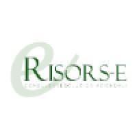 RISORS-E SRL logo, RISORS-E SRL contact details