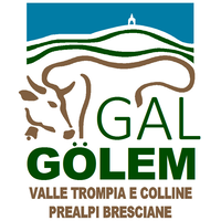 Gal Gölem Valle Trompia e Colline Prealpi Bresciane logo, Gal Gölem Valle Trompia e Colline Prealpi Bresciane contact details