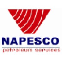 NAPESCO Petroleum Services Co. Ltd logo, NAPESCO Petroleum Services Co. Ltd contact details