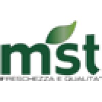 MST s.r.l. logo, MST s.r.l. contact details