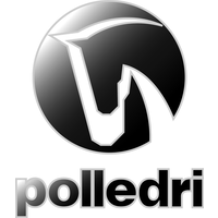 Polledri S.r.l. logo, Polledri S.r.l. contact details