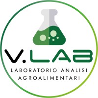 Vassanelli Lab s.r.l. logo, Vassanelli Lab s.r.l. contact details