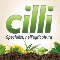 Cilli Srl logo, Cilli Srl contact details