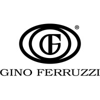 GINO FERRUZZI S.R.L. logo, GINO FERRUZZI S.R.L. contact details