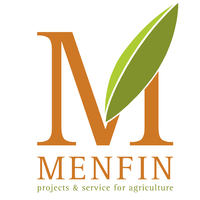 Menfin srl logo, Menfin srl contact details