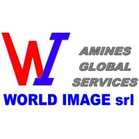 WI Amines Global Services logo, WI Amines Global Services contact details