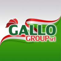 Gallo Group Srl logo, Gallo Group Srl contact details