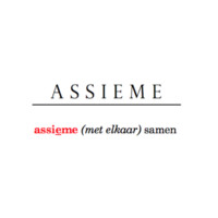 Assieme srls logo, Assieme srls contact details