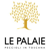 Le Palaie s.r.l logo, Le Palaie s.r.l contact details