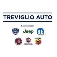 Treviglio Auto srl logo, Treviglio Auto srl contact details