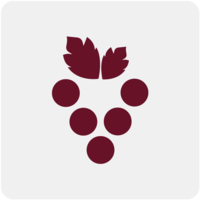 Vine & Cork Ltd logo, Vine & Cork Ltd contact details