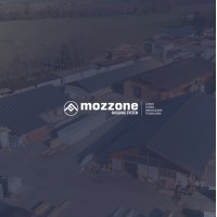 Mozzone building system s.r.l logo, Mozzone building system s.r.l contact details