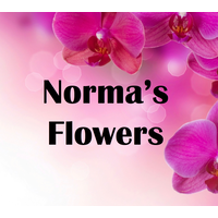 Norma's Flowers logo, Norma's Flowers contact details