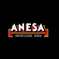 Anesa Srl logo, Anesa Srl contact details