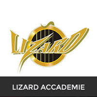 Accademie Musicali LIZARD - sede Firenze Castello logo, Accademie Musicali LIZARD - sede Firenze Castello contact details