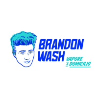 Brandon Wash Srl logo, Brandon Wash Srl contact details