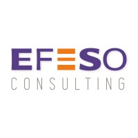 EFESO India logo, EFESO India contact details