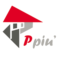 P più SRL logo, P più SRL contact details