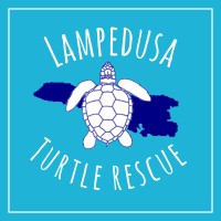 Lampedusa Turtle Rescue logo, Lampedusa Turtle Rescue contact details