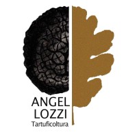 Angellozzi Tartuficoltura logo, Angellozzi Tartuficoltura contact details