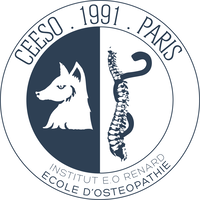 CEESO Paris logo, CEESO Paris contact details