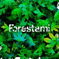 Forestami logo, Forestami contact details