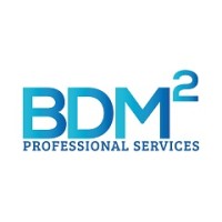 BDM Squared logo, BDM Squared contact details