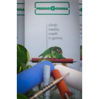 Pressogomma Srl logo, Pressogomma Srl contact details