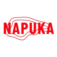 Napuka Studio logo, Napuka Studio contact details