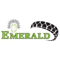 Emerald Resilient Tyre Manufacturers Pvt ltd logo, Emerald Resilient Tyre Manufacturers Pvt ltd contact details