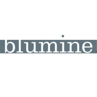 Blumine Srl logo, Blumine Srl contact details