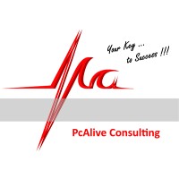 PcAlive Consulting Srl logo, PcAlive Consulting Srl contact details