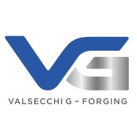 VG FORGING Srl logo, VG FORGING Srl contact details