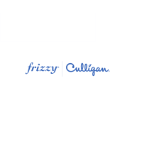 Frizzy Italia S.r.l. logo, Frizzy Italia S.r.l. contact details