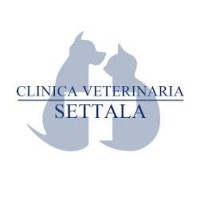 Clinica Veterinaria Settala logo, Clinica Veterinaria Settala contact details