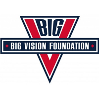 BIG VISION FOUNDATION logo, BIG VISION FOUNDATION contact details