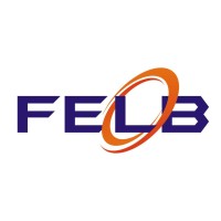 FELB Srl logo, FELB Srl contact details