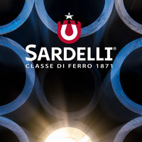 Sardelli Lorenzo S.r.l. logo, Sardelli Lorenzo S.r.l. contact details