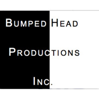 Bumped Head Productions L.L.C. logo, Bumped Head Productions L.L.C. contact details